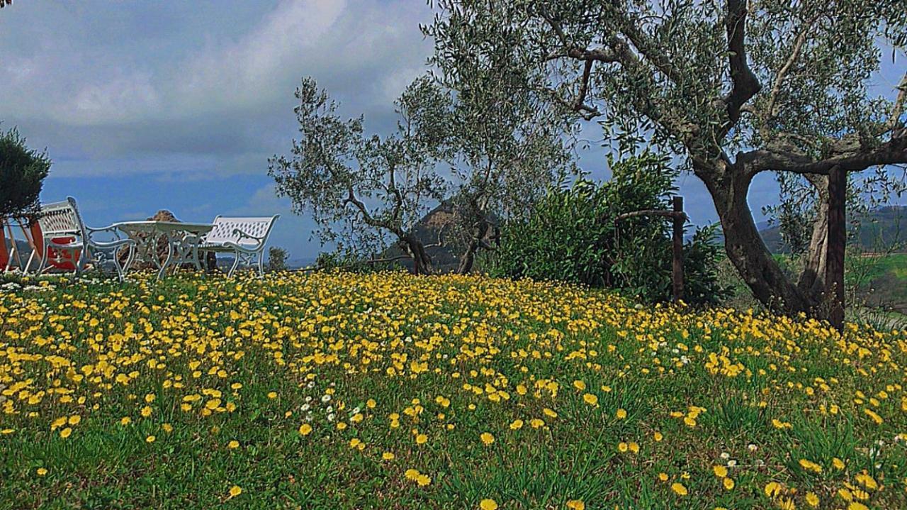 Agriturismo Villa Felice Volterra Exterior foto